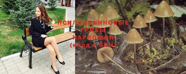 ешки Алзамай